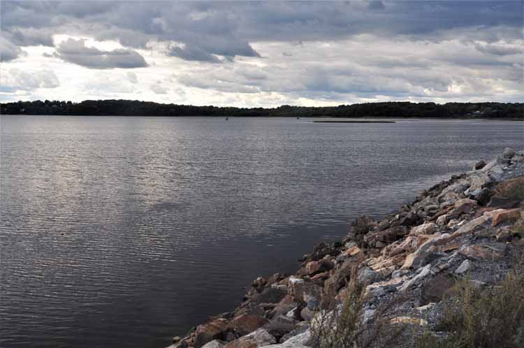 bridge and lake view